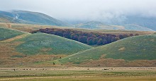 Ai piedi di Castelluccio